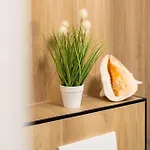 Polanki Aqua Familly Baseny Wellness Lägenhet